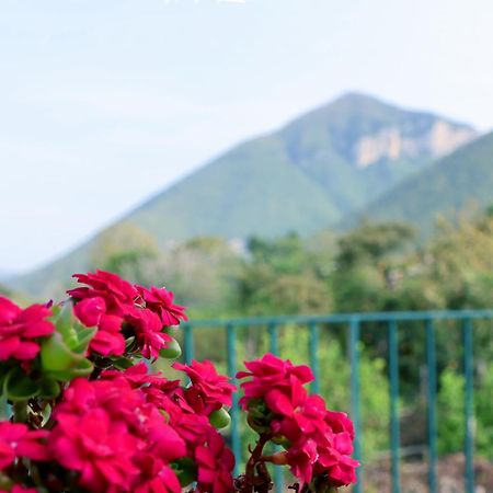 Casa Fifina Rooms サンテジーディオ・デル・モンテ・アルビーノ エクステリア 写真