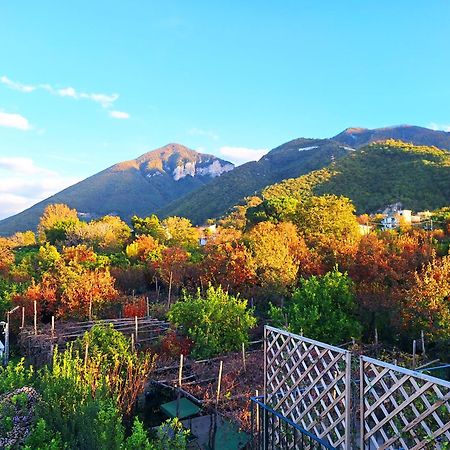 Casa Fifina Rooms サンテジーディオ・デル・モンテ・アルビーノ エクステリア 写真