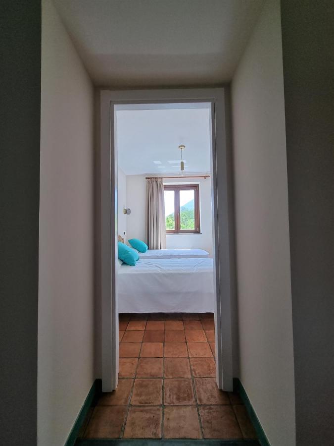 Casa Fifina Rooms サンテジーディオ・デル・モンテ・アルビーノ エクステリア 写真
